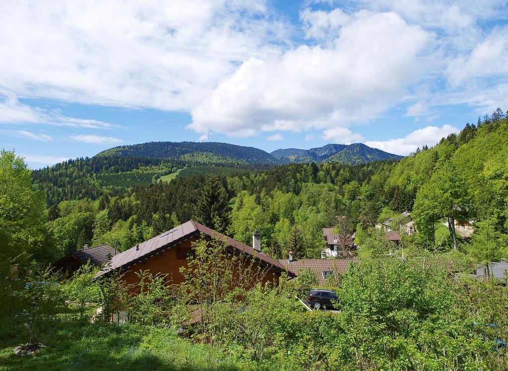 Chalet Ott - Apartment In The Mountains With Sauna Saint-Cergue Zimmer foto