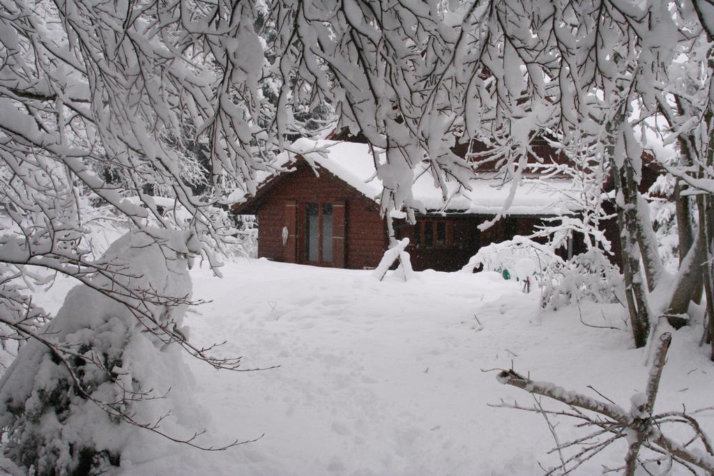 Chalet Ott - Apartment In The Mountains With Sauna Saint-Cergue Zimmer foto